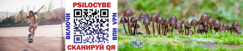 Галлюциногенные грибы Psilocybe  Заинск 